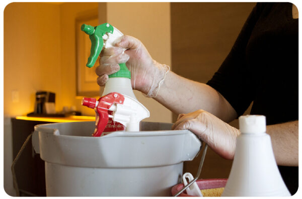 Disposable Clear Vinyl Gloves